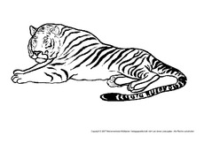 Tiger-2.pdf